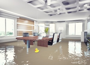 Flood Risk?