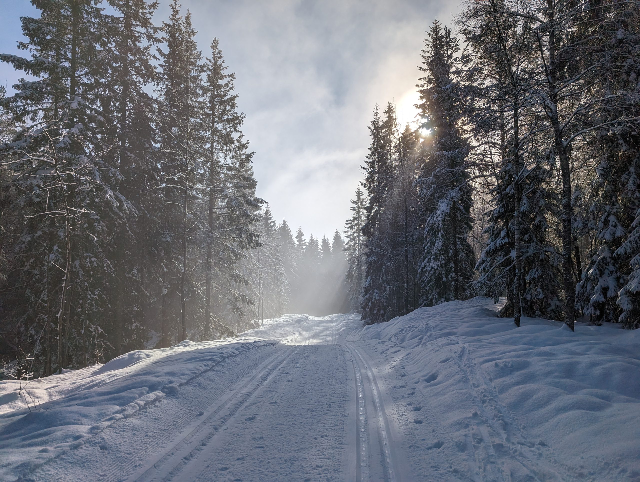 🌟 Your Winter Insurance Update