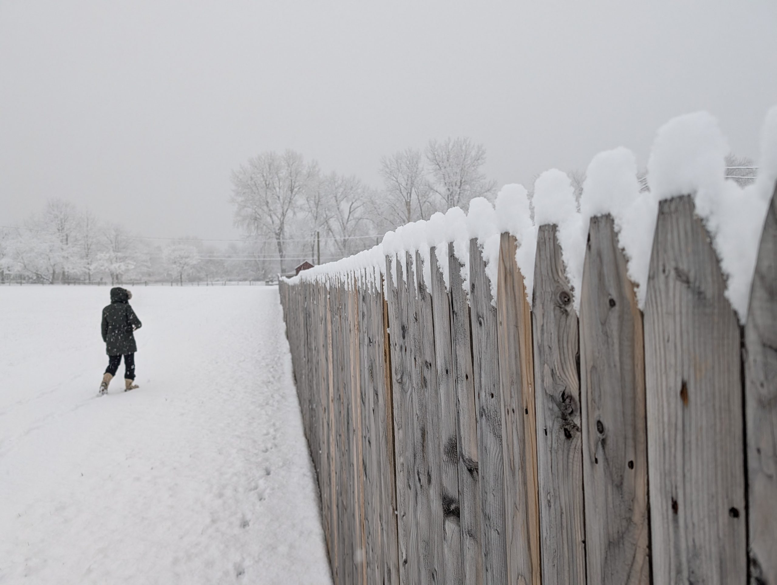 Snow on the Ground: A Quiet Reminder About Storm Safety and Insurance